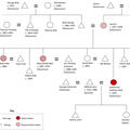Family tree of Katie (Bob) Dominick